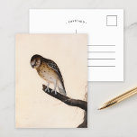 Cartão Postal Pequena Coruja | William Lewin<br><div class="desc">Pequena coruja (antes de 1790) | A Coruja Pequena de William Lewin é uma pintura encantadora e precisa que apresenta uma pequena coruja marrom tocada num galho contra um fundo neutro minimalista. O trabalho de arte capta o olhar expressivo da coruja, as penas moles e a forma compacta com atenção...</div>