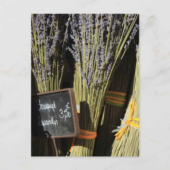 Cartão Postal Pequenas buquês de lavanda (Frente)