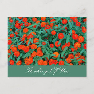 CARTÃO POSTAL PEQUENAS FLORES VERMELHAS/FOLIAGEM VERDE/PENSAMENT