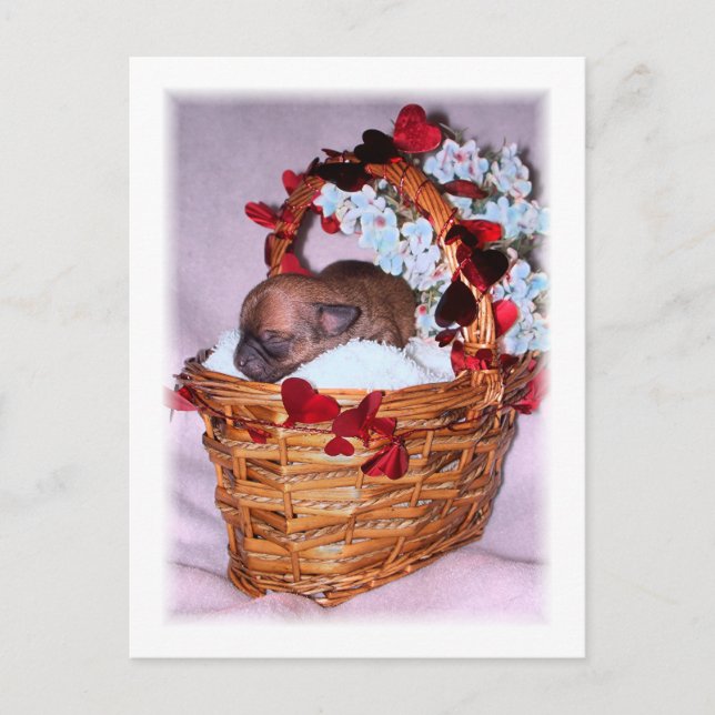 Cartão Postal Pequenas Surpresas (Frente)