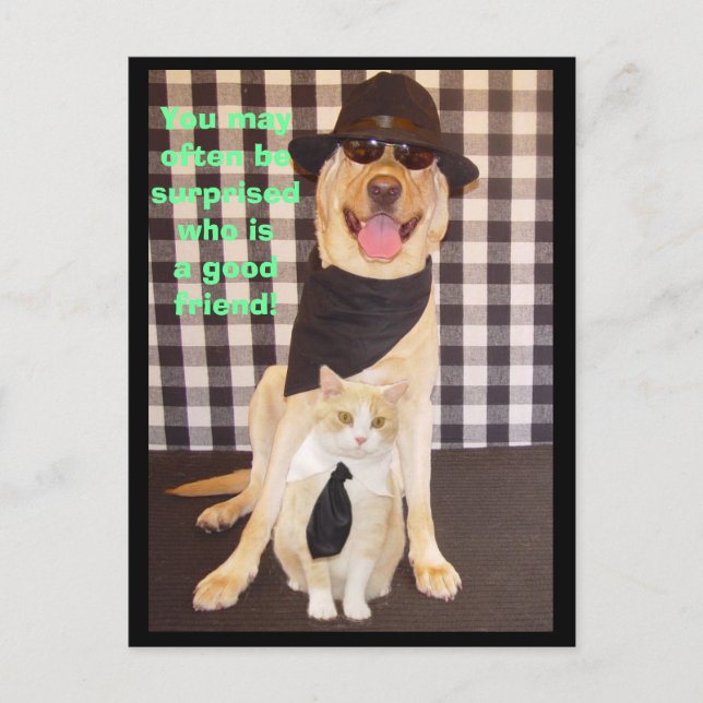 Cartão Postal Pequeno Amigo (Frente)