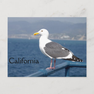 Cartão Postal Pequeno Birdy