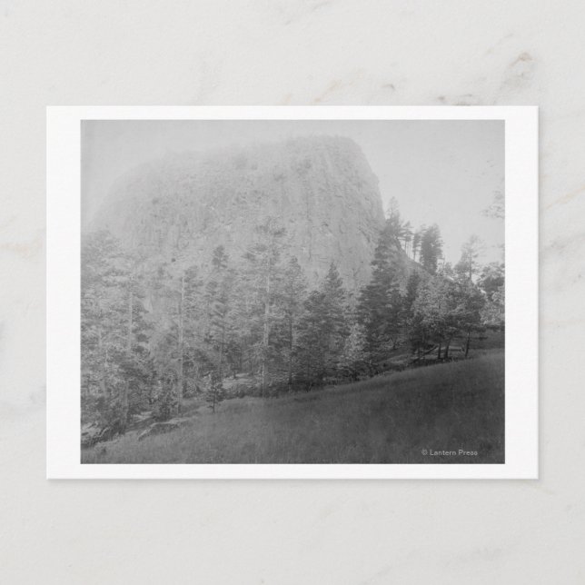 Cartão Postal Pequeno Campo de Beyod Butte e Árvores do Missouri (Frente)