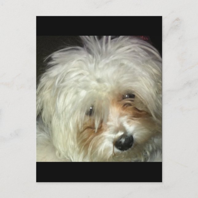 Cartão Postal Pequeno Casper Bonito (Frente)