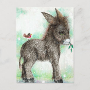 Cartão Postal Pequeno Donkey maravilha e amigo do pássaro Robin