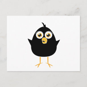 Cartão Postal Pequeno Pássaro Negro