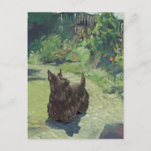 Cartão Postal Pequeno Scottie no Jardim