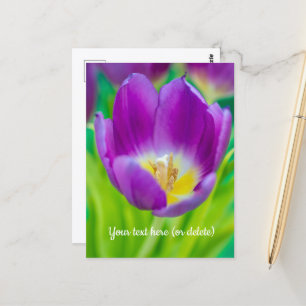 Cartão Postal Pequeno Tulipa Roxo