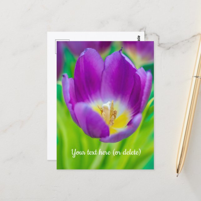 Cartão Postal Pequeno Tulipa Roxo (Frente/Verso In Situ)