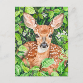 Cartão Postal Pequeno Veado no Prado