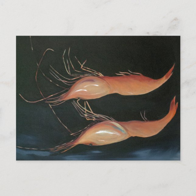 Cartão Postal Pequenos Amigos (Frente)