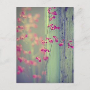 Cartão Postal Pequenos Sinos