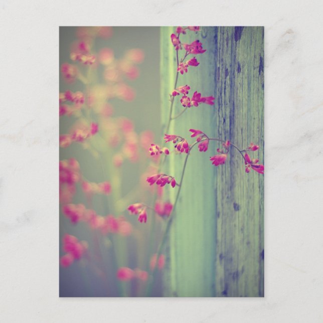 Cartão Postal Pequenos Sinos (Frente)