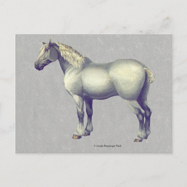 Cartão Postal Percheron Horse Equine Art (Frente)
