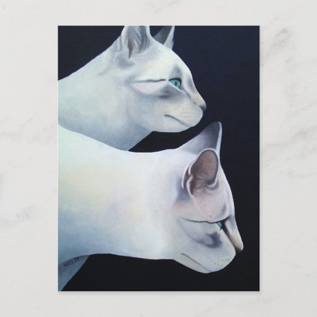 Cartão postal Percival & Lancelot (Frente)