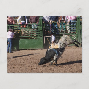 Cartão Postal Perda de Dutchman Bull Riding
