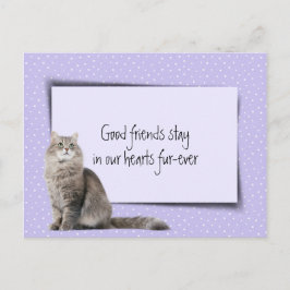 Cartão Postal Perda de Gato Cinza de Estimação pelo Veterinário