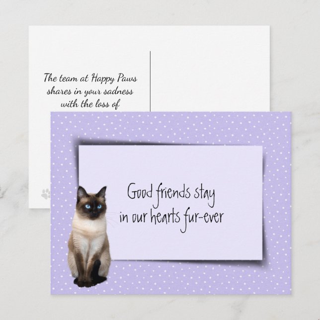 Cartão Postal Perda de Gato Siames do Veterinário (Frente/Verso)