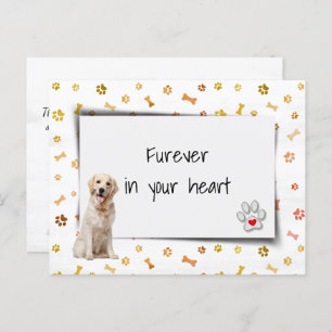 Cartão Postal Perda de Simpatia Pet de Retriever de ouro