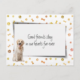 Cartão Postal Perda de Simpatia Pet de Retriever de ouro