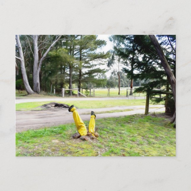 Cartão Postal Perdido no Jardim de novo (Frente)