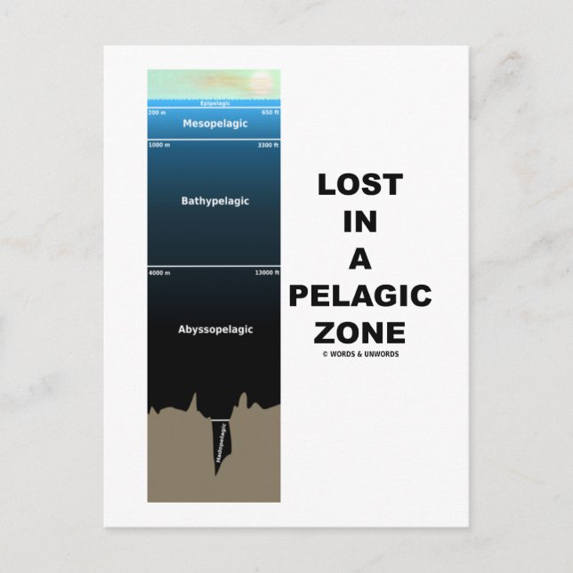Cartão Postal Perdido Numa Zona Pelágica (Humor Oceanográfico) (Frente)