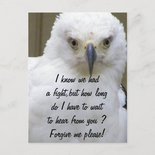 Cartão Postal Perdoe-me. (Frente)