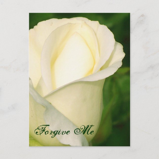Cartão Postal Perdoe-me/ Qualquer Occasion_Postcard (Frente)