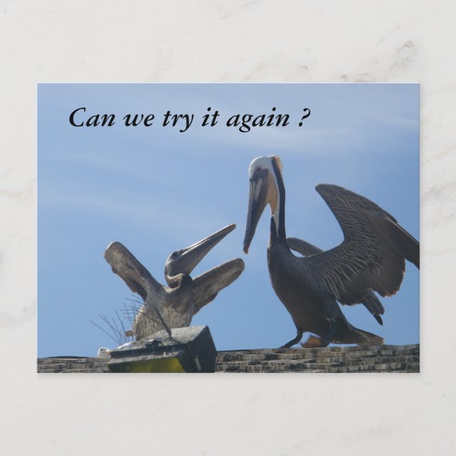 Cartão Postal Perdoe-me. Sai comigo. (Frente)