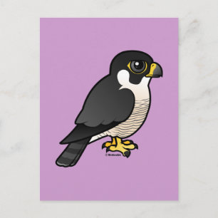 Cartão Postal Peregrine Falcon