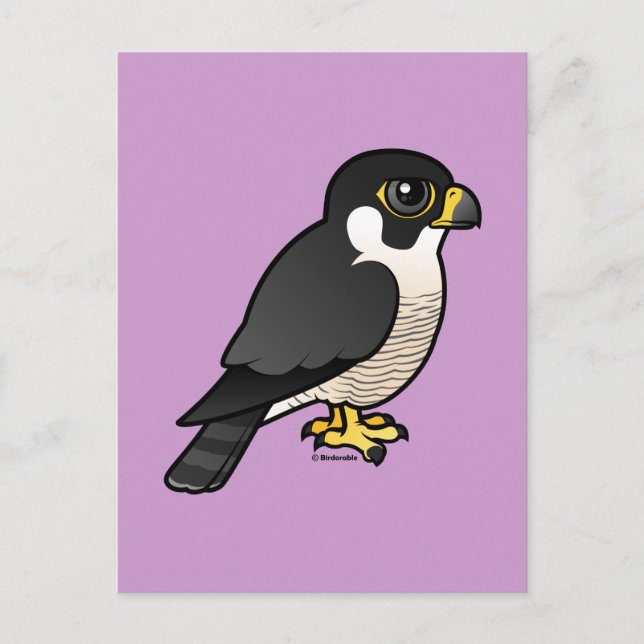 Cartão Postal Peregrine Falcon (Frente)