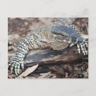 Cartão Postal Perenti