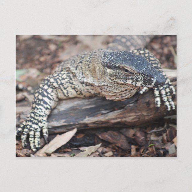 Cartão Postal Perenti (Frente)