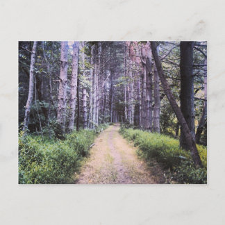 Cartão Postal Perfeição natural