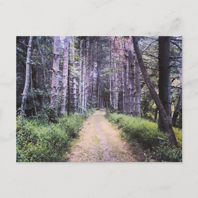 Cartão Postal Perfeição natural (Frente)