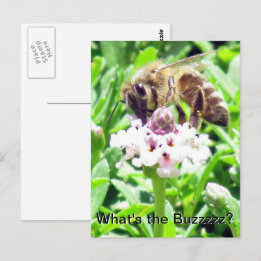 Cartão postal - perfil de Abelha Melífera