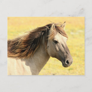 Cartão Postal Perfil de Cavalo bege