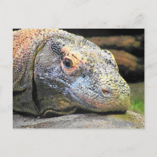 Cartão Postal Perfil de Fechamento do Dragão do Komodo