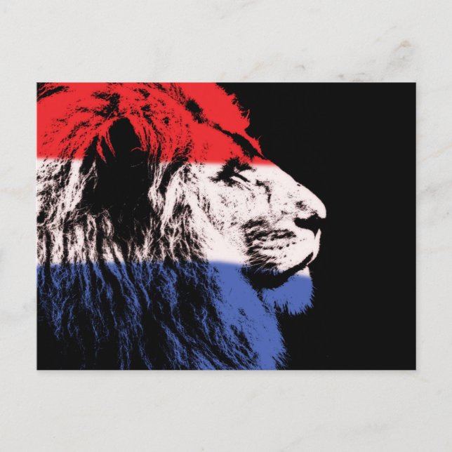 Cartão Postal Perfil de leão dormindo (Frente)