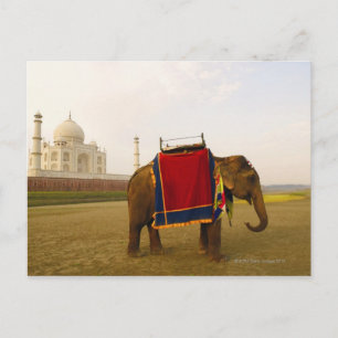 Cartão Postal Perfil lateral de um elefante, Taj Mahal, Índia