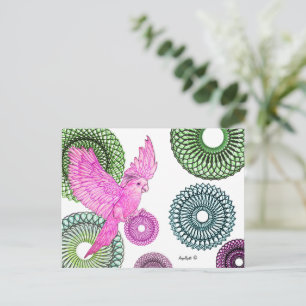 Cartão Postal Periquito Curativo