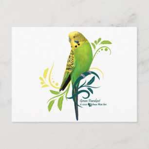 Cartão Postal Periquito Verde