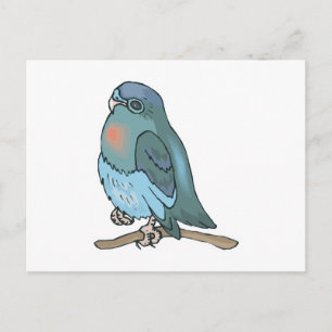 Cartão Postal periquito verde e azul