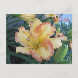 Cartão Postal Perseguindo o Sol II, Perseguindo o Sol II