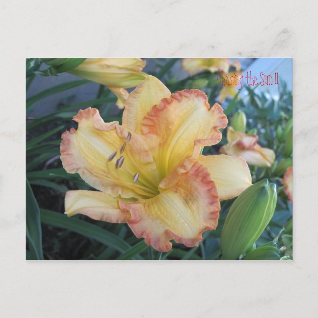 Cartão Postal Perseguindo o Sol II, Perseguindo o Sol II (Frente)