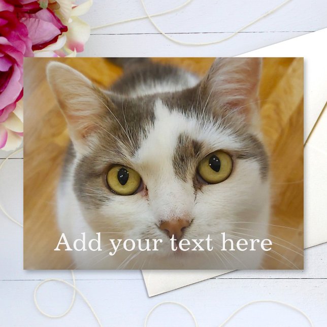 Cartão Postal Personalizada Foto e Nome (Criador carregado)