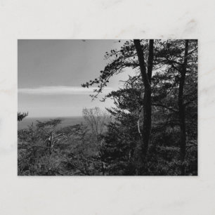 Cartão Postal Personalizado com Fotografia Preto e