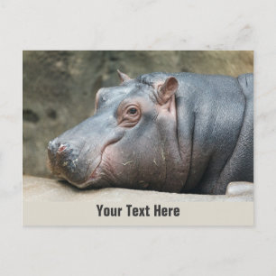 Cartão postal personalizado de hipopótamo