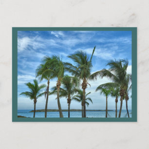 Cartão Postal Personalizado de Tarde Tropical