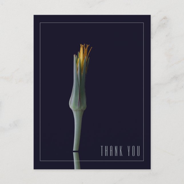 Cartão Postal Personalizado Simples Elegante Floral Preto Agrade (Frente)